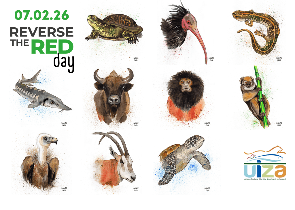 Reverse the Red&nbsp;Day